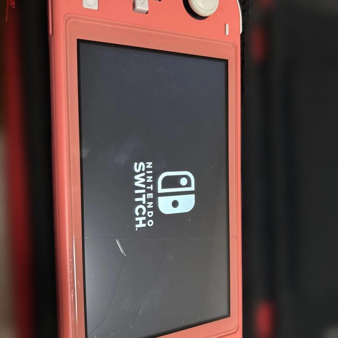 Switch Lite+充電器＆ケース付き