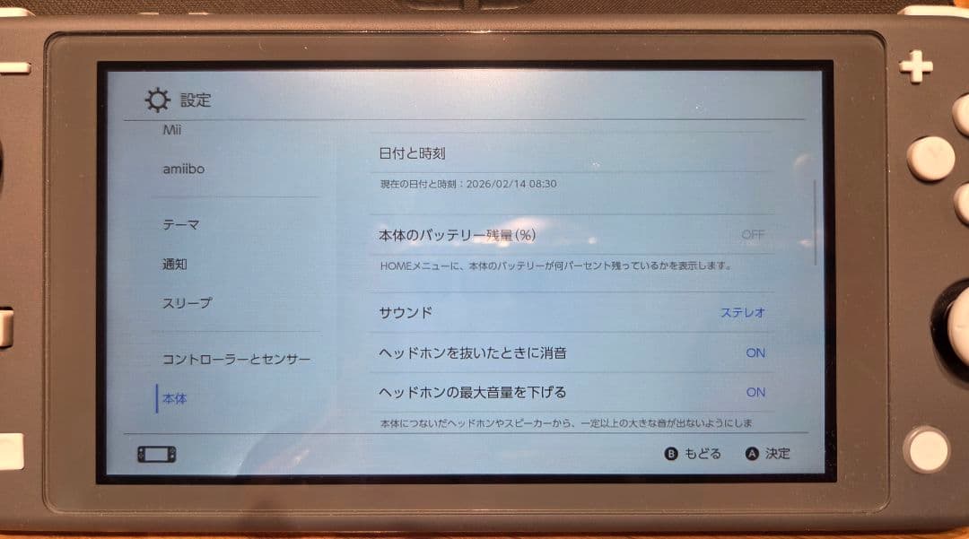 Nintendo Switch Lite グレー 本体 カバー付