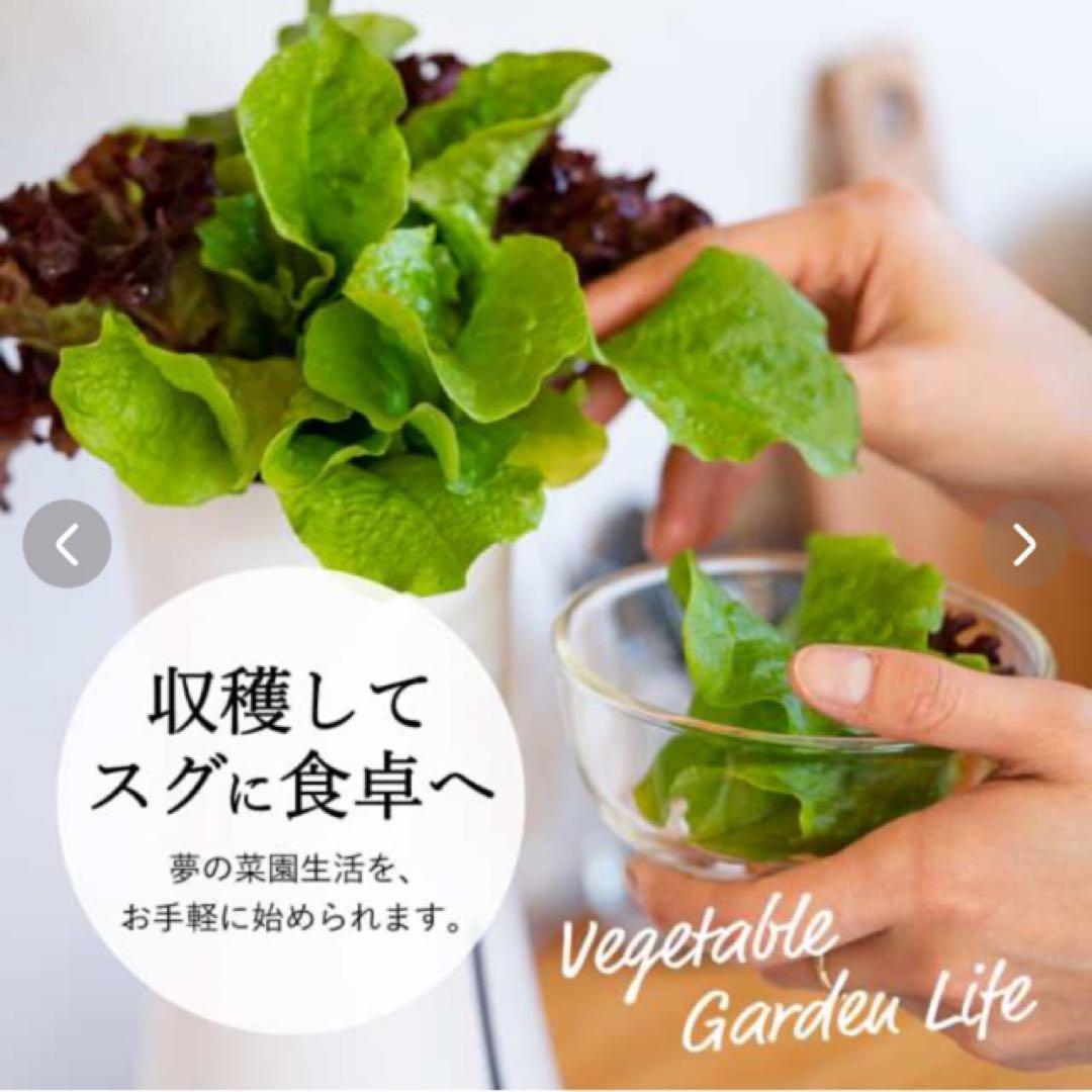 くーちゃんさん専用