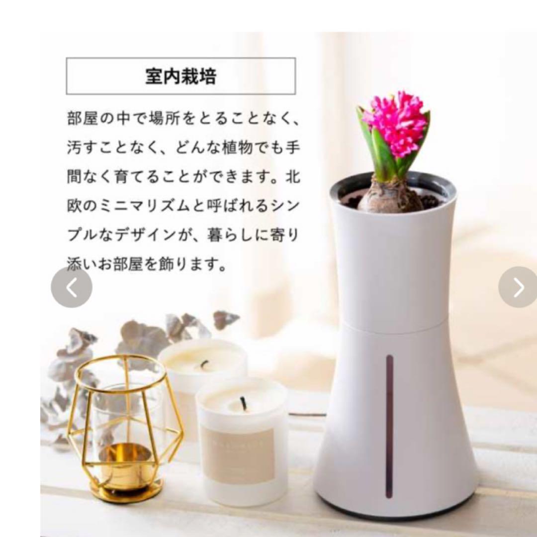 くーちゃんさん専用