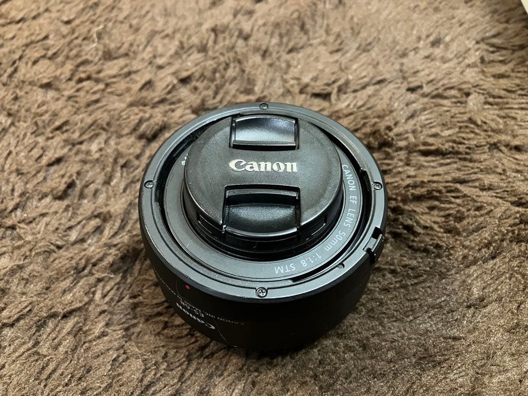 Canon EF 50mm F1.8 STM フード、レンズ保護フィルター付き