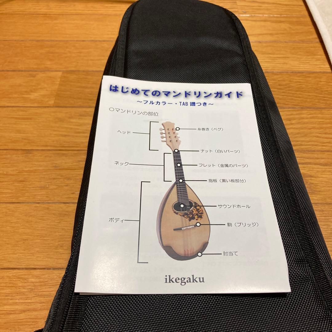 イケガクのフラットマンドリン