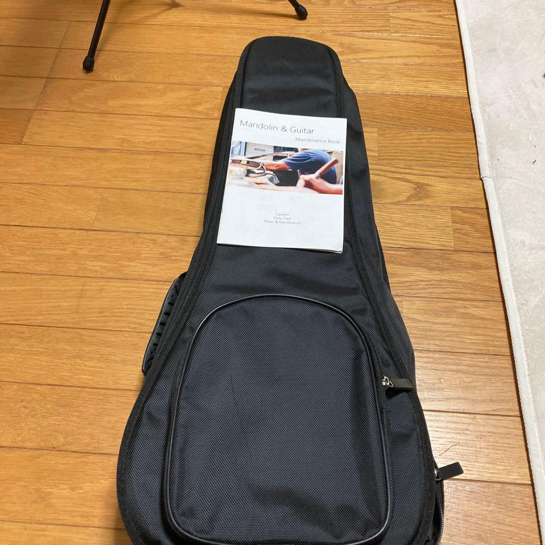 イケガクのフラットマンドリン