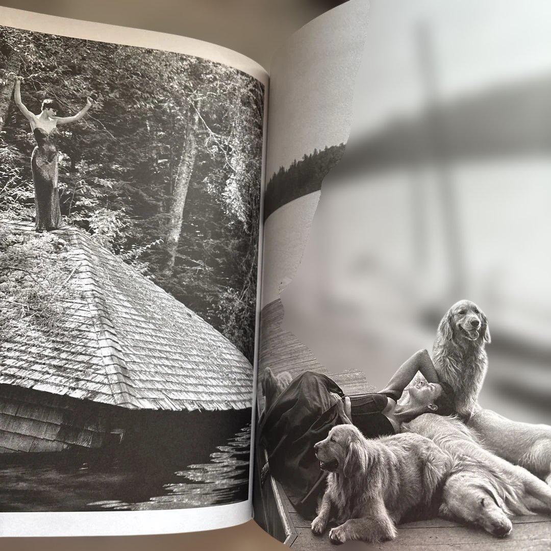 洋書 GOLDEN RETRIEVER PHOTOGRAPHIC SOCIEYT