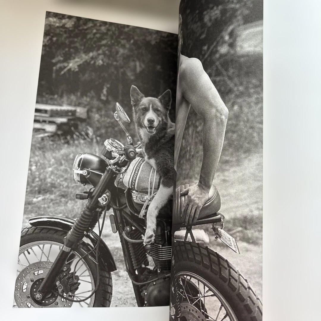 洋書 GOLDEN RETRIEVER PHOTOGRAPHIC SOCIEYT