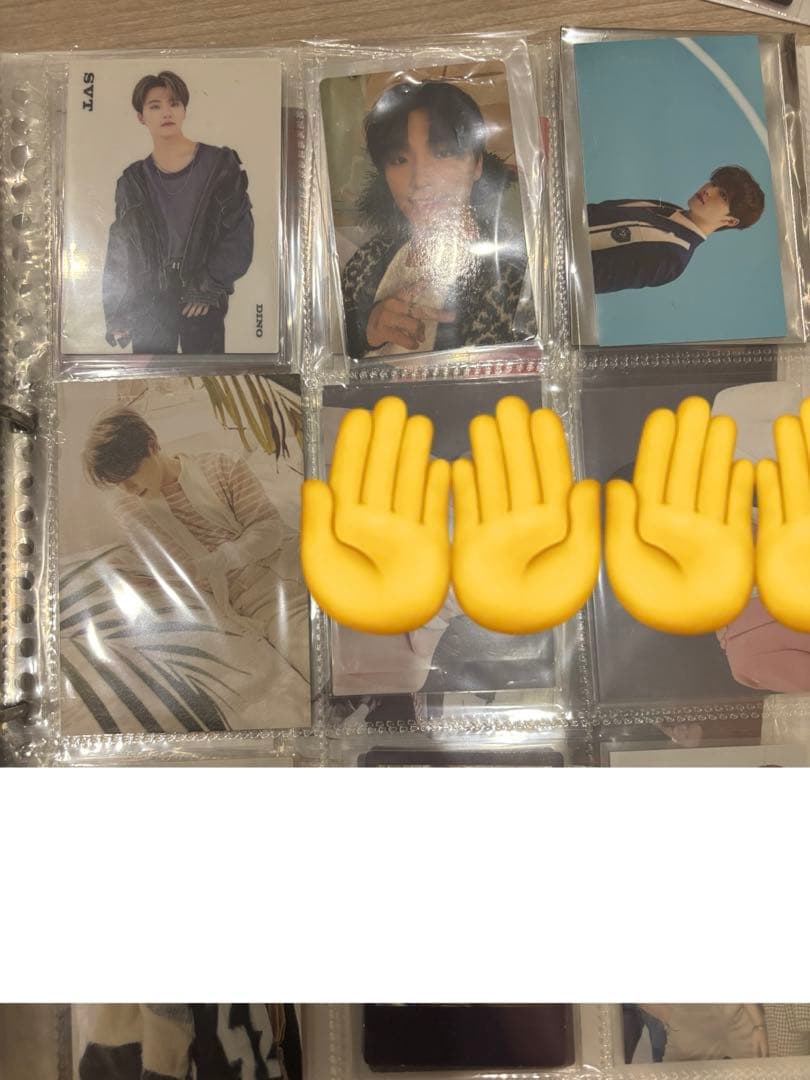 SEVENTEEN ディノ トレカ