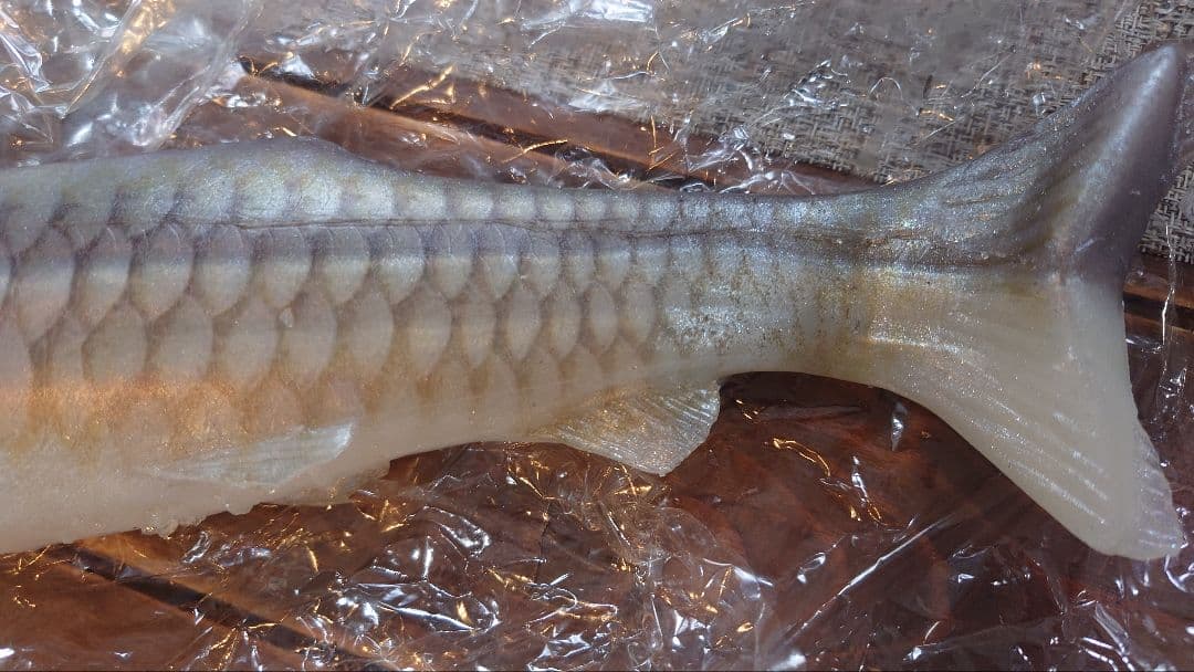 シグナル ウルトラカープ ver.2 キラーカープ 開封済 未使用 SIGNAL