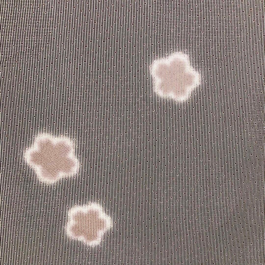 【美品　トールサイズ】江戸小紋　竹縞　桜　正絹　袷　裄丈70 身丈172