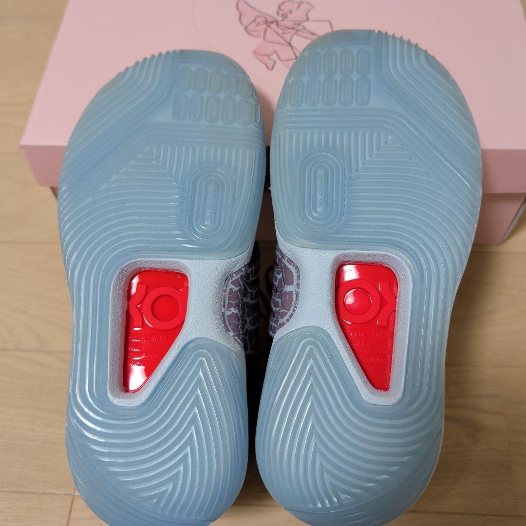 シューズ(男性用) NIKE KD14 NRG EP