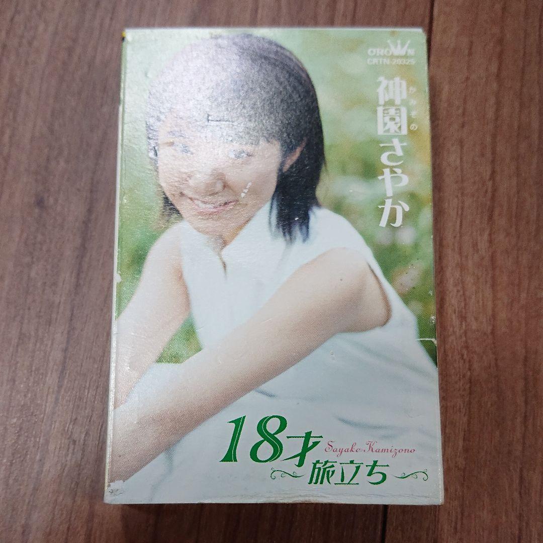 神園さやか 18才 ~旅立ち~