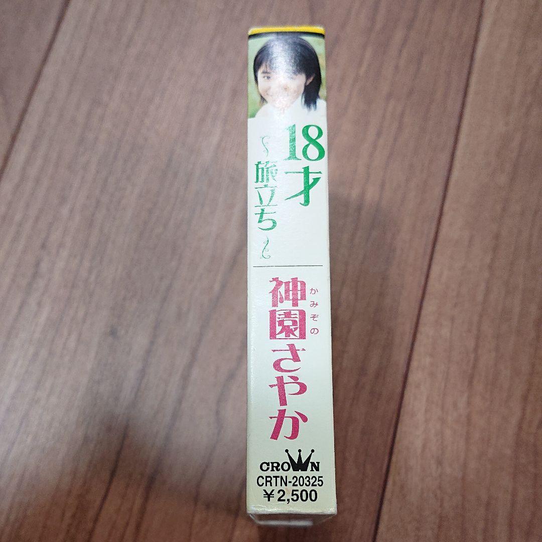 神園さやか 18才 ~旅立ち~
