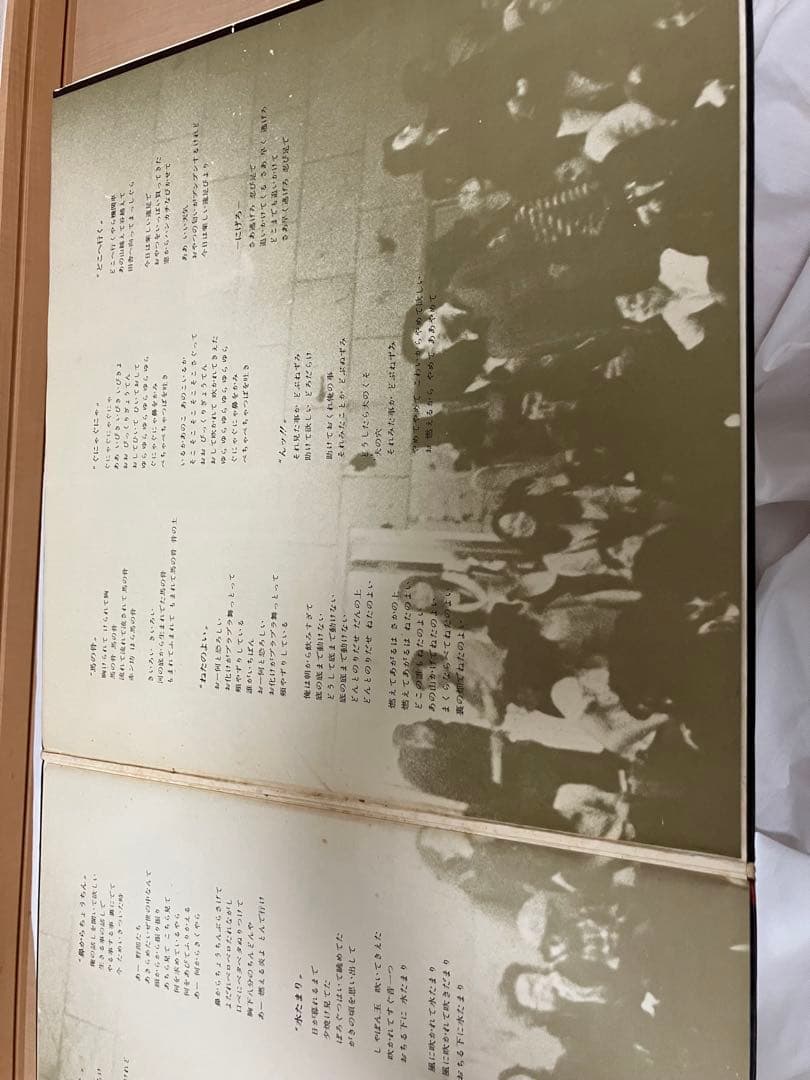 村八分　ライブ　LP２枚組　エレック盤