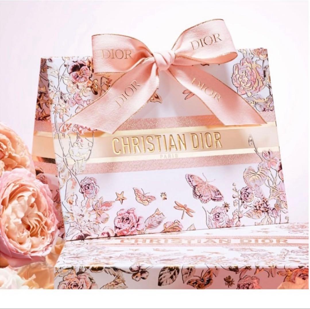 ディオール アディクトリップ スティック212 リップケース チュチュ 限定