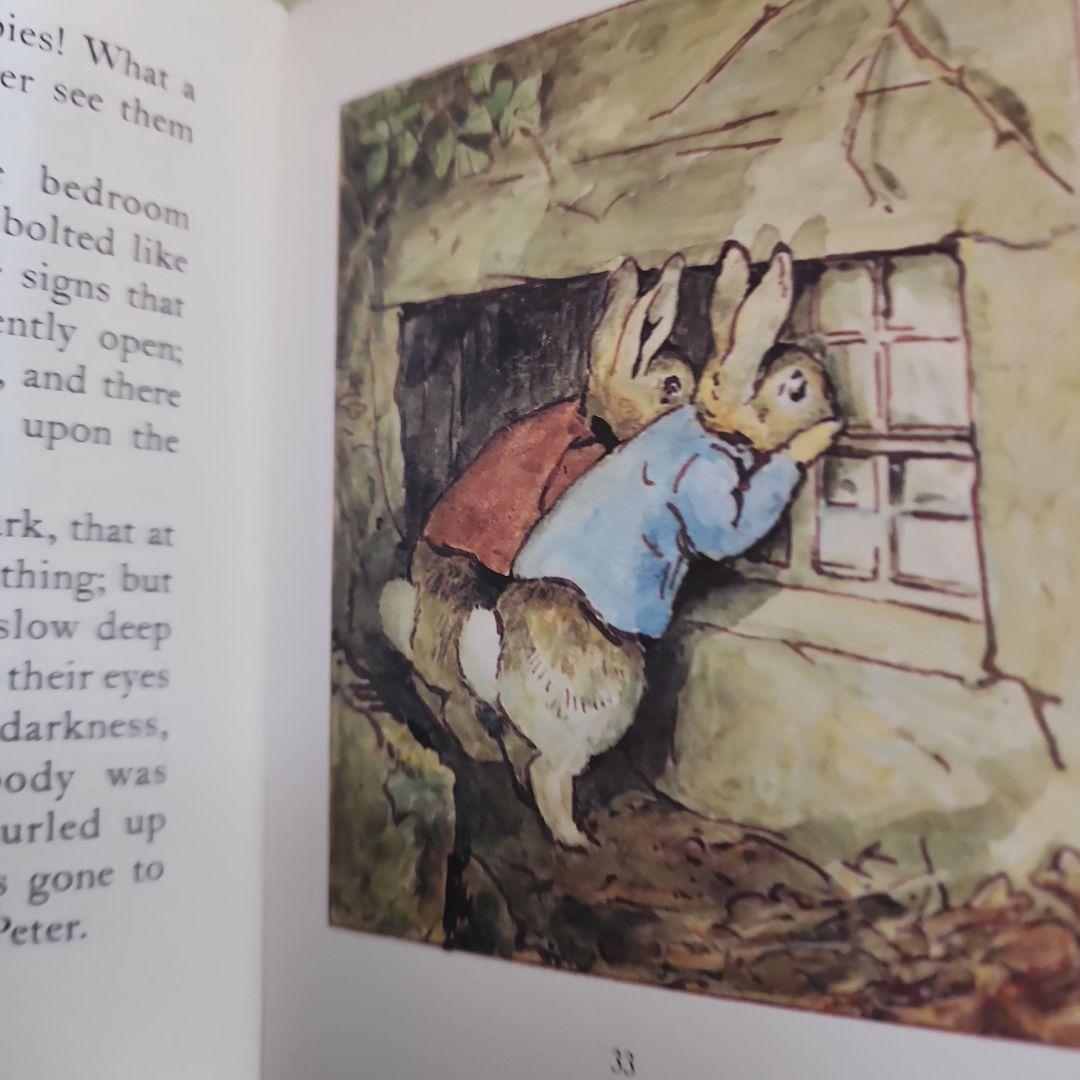 洋書)ピーターラビットシリーズ全23冊セット