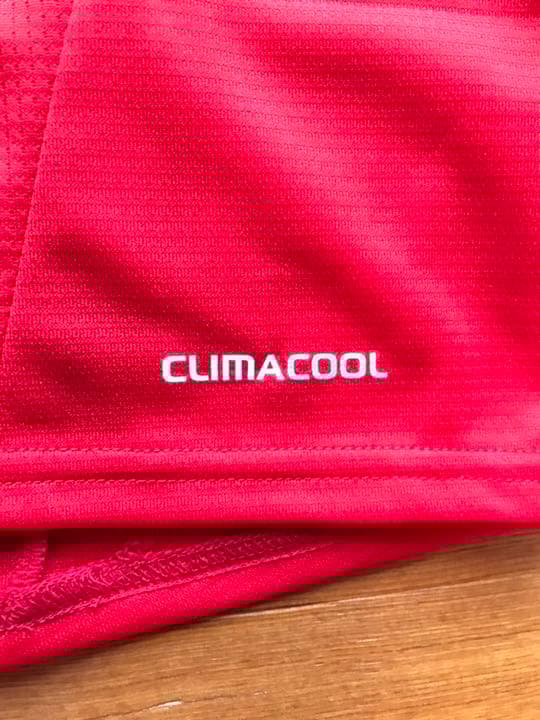 新品正規品 adidas 日本代表「17」長谷部誠 半袖 L ユニフォーム