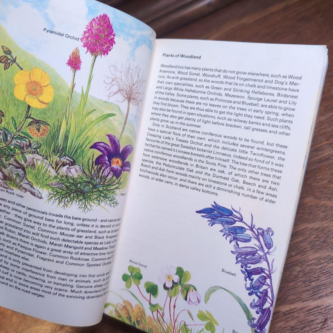 ボタニカルアートが散りばめられた洋書　ボタニカルカード　ボタニカル図鑑洋書