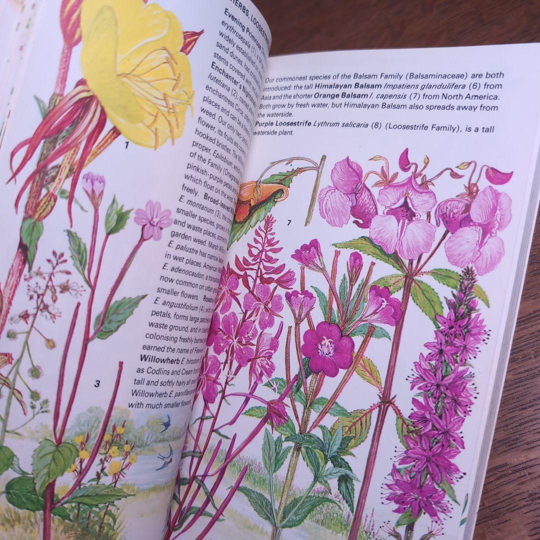 ボタニカルアートが散りばめられた洋書　ボタニカルカード　ボタニカル図鑑洋書