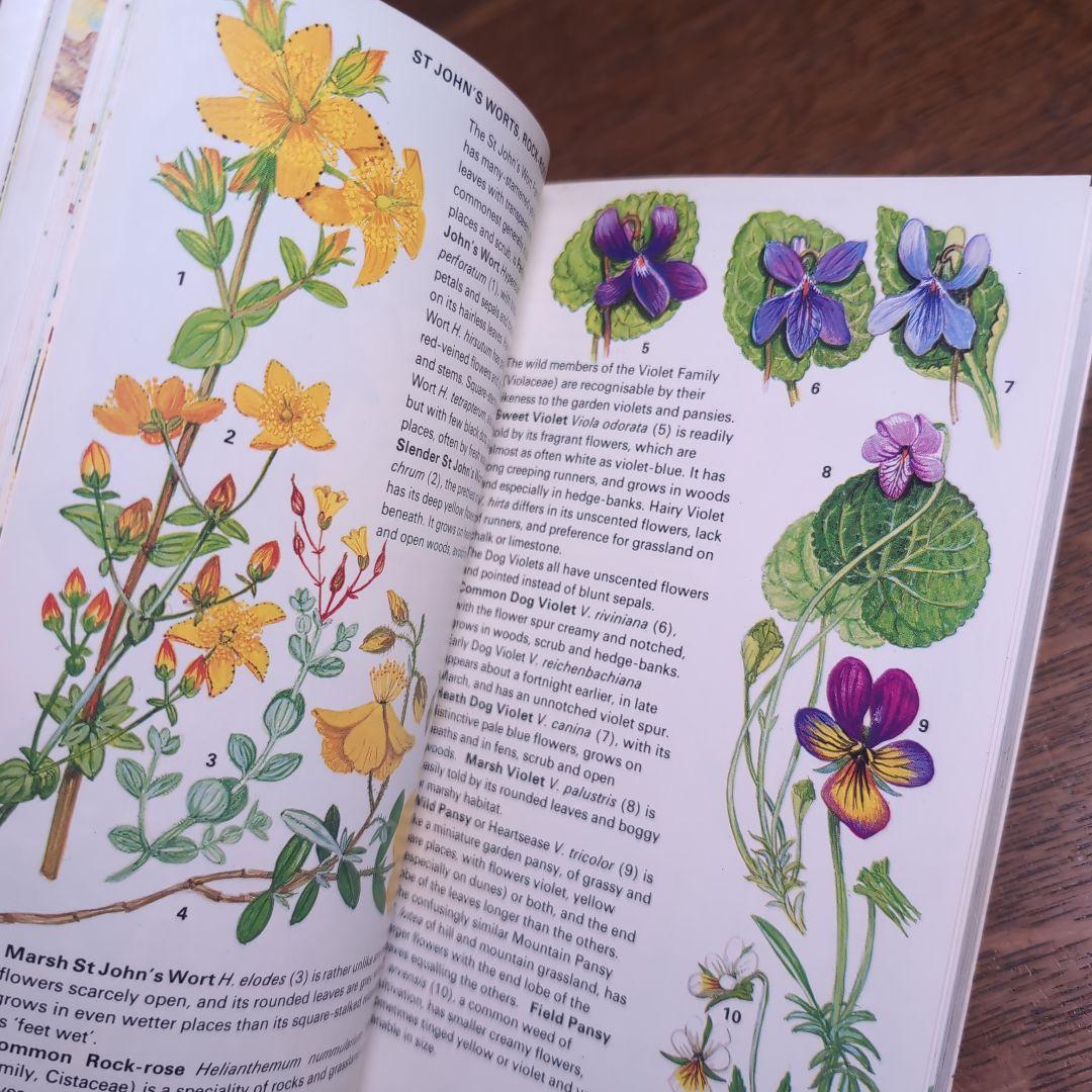 ボタニカルアートが散りばめられた洋書　ボタニカルカード　ボタニカル図鑑洋書