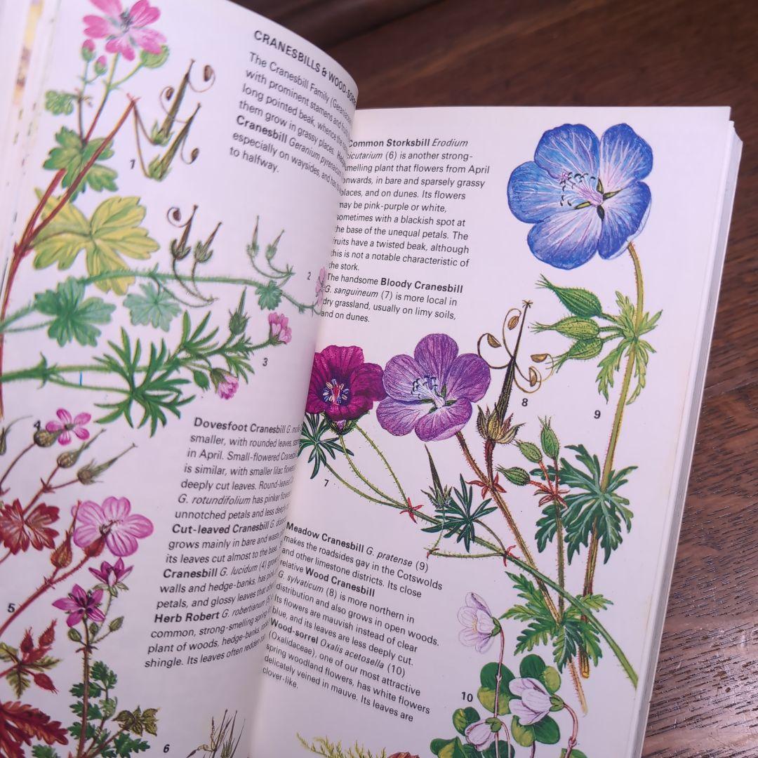 ボタニカルアートが散りばめられた洋書　ボタニカルカード　ボタニカル図鑑洋書