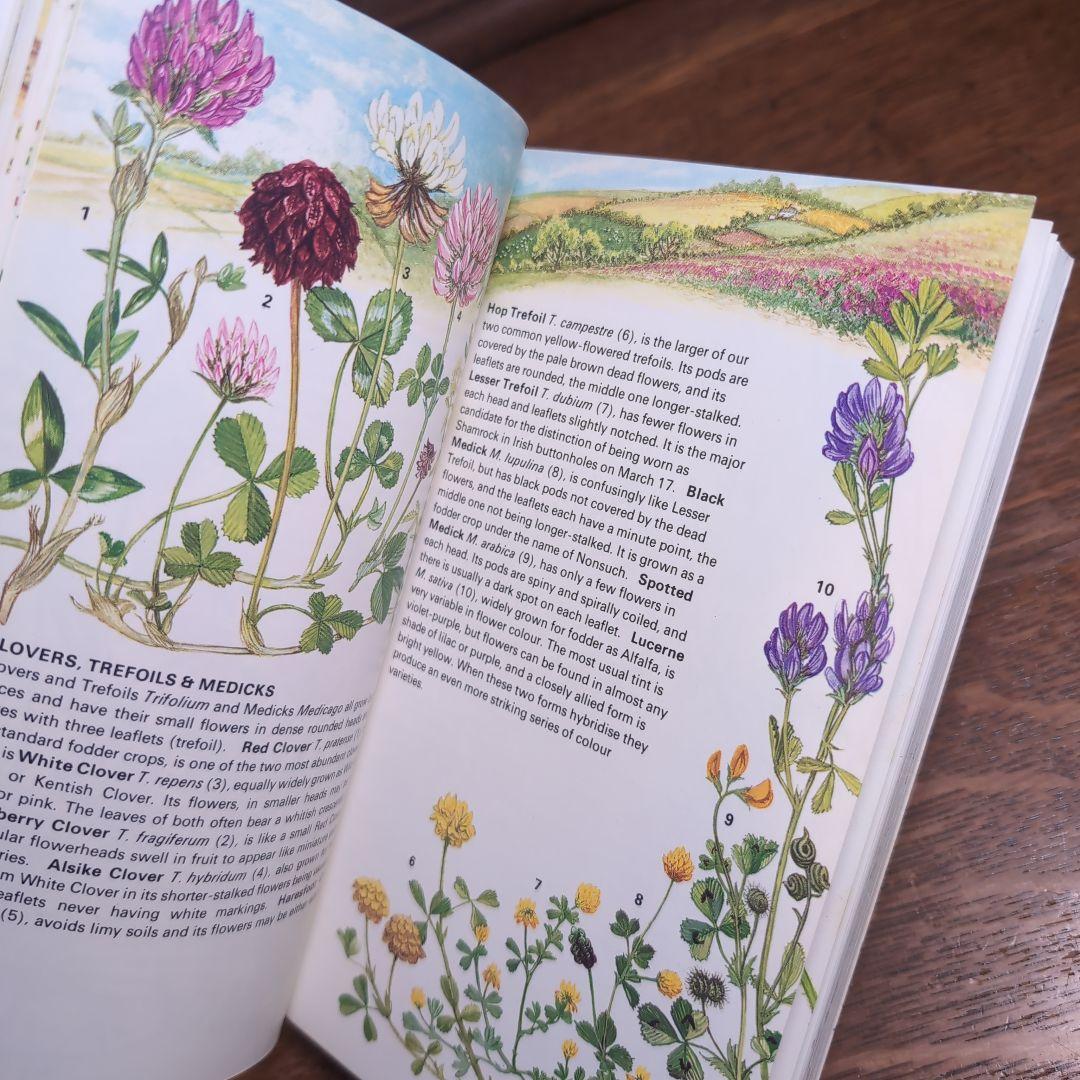 ボタニカルアートが散りばめられた洋書　ボタニカルカード　ボタニカル図鑑洋書