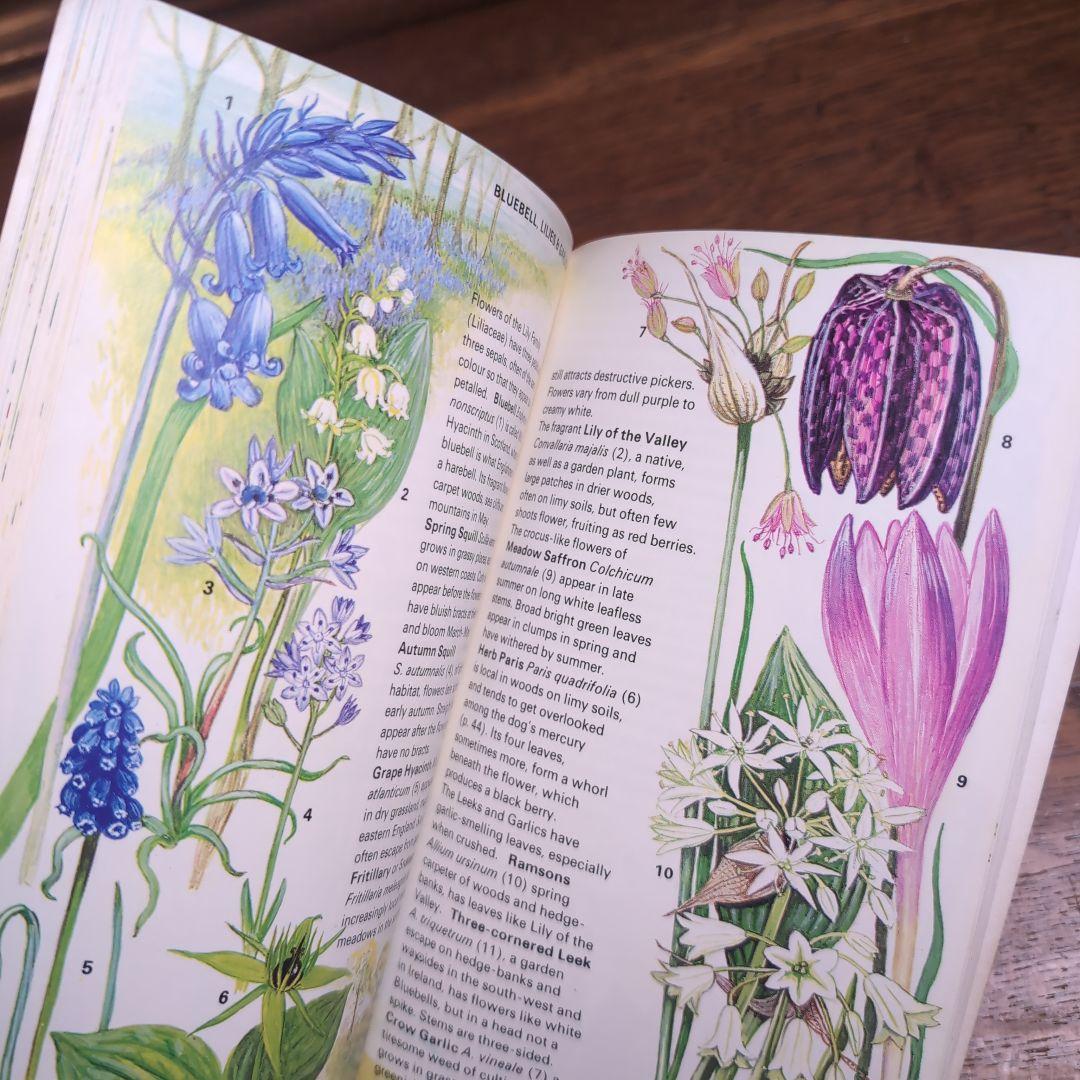 ボタニカルアートが散りばめられた洋書　ボタニカルカード　ボタニカル図鑑洋書