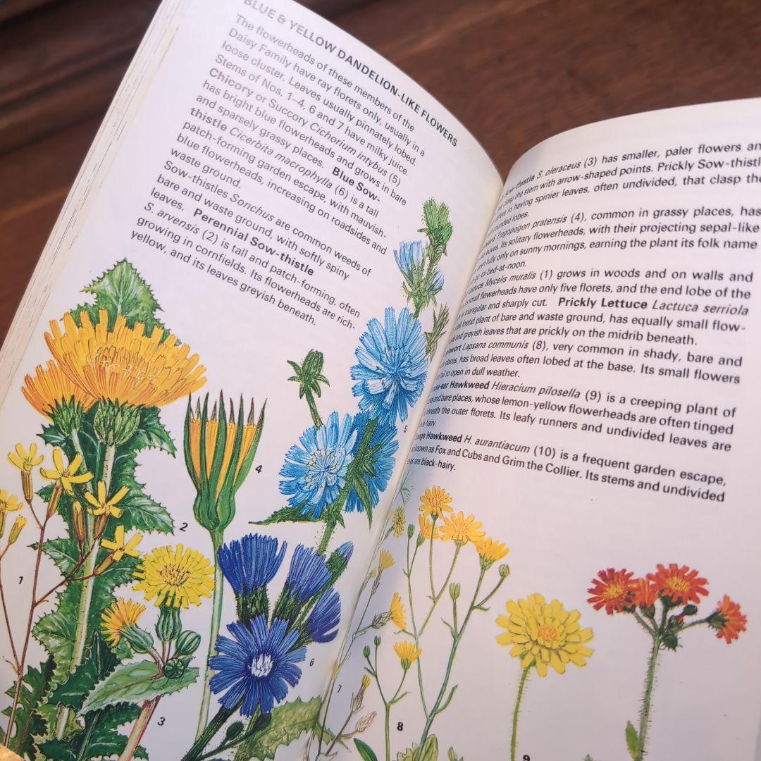 ボタニカルアートが散りばめられた洋書　ボタニカルカード　ボタニカル図鑑洋書