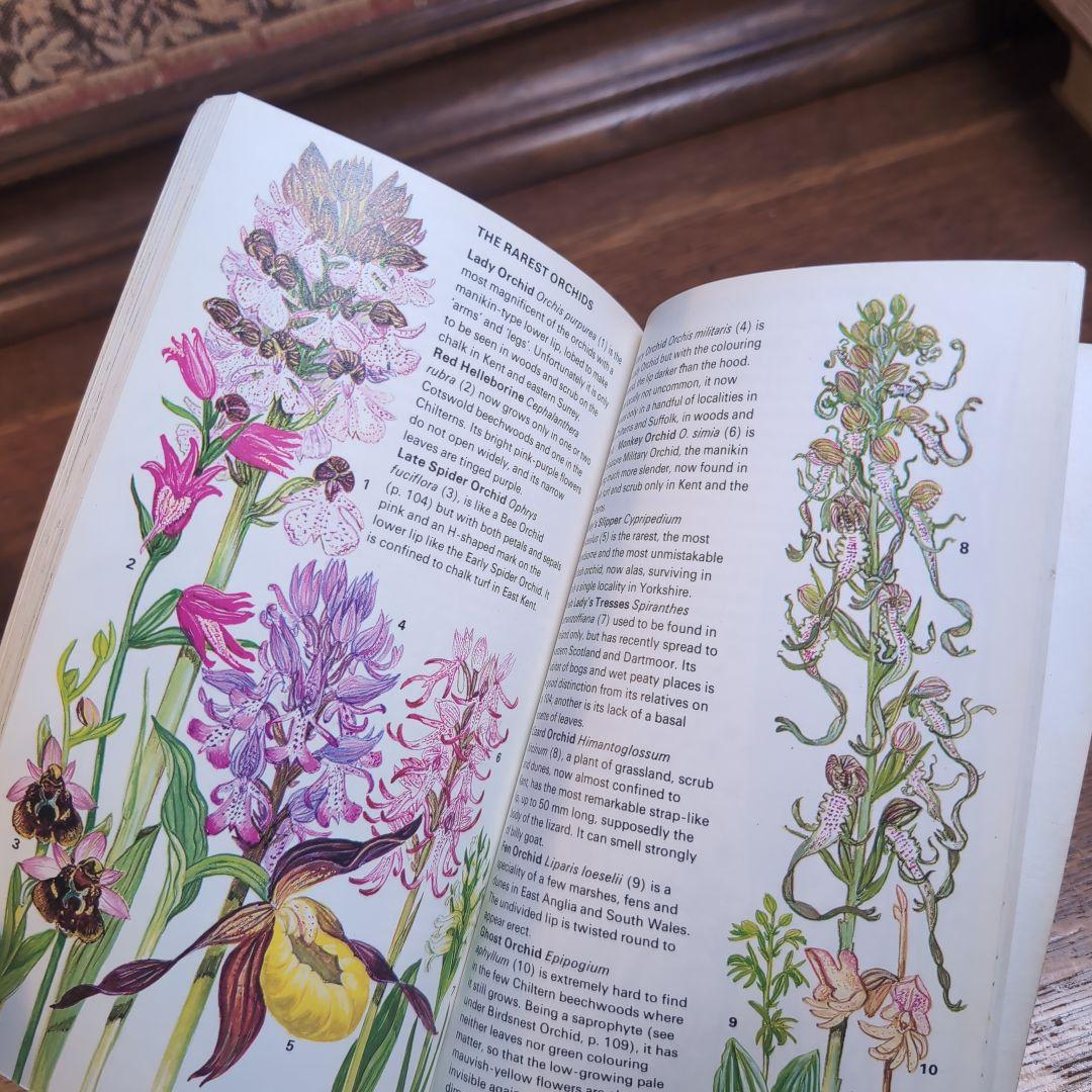 ボタニカルアートが散りばめられた洋書　ボタニカルカード　ボタニカル図鑑洋書