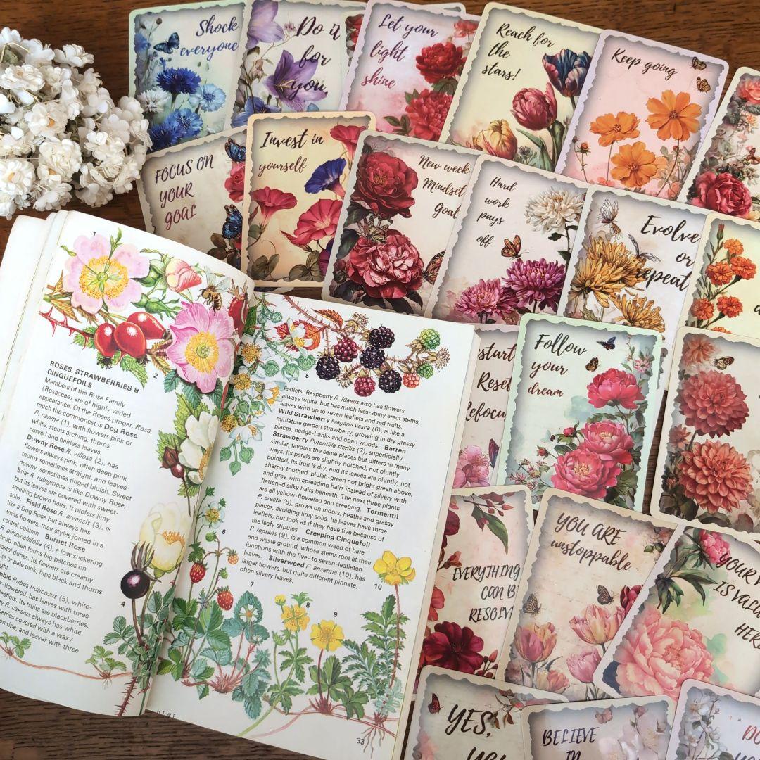 ボタニカルアートが散りばめられた洋書　ボタニカルカード　ボタニカル図鑑洋書