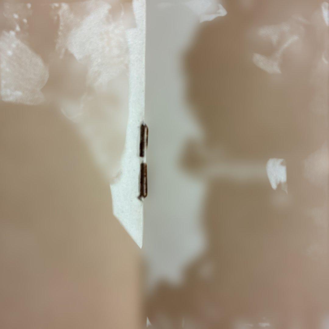 ベルリン/ルー・リード　国内盤レコード 別解説・歌詞カード付き1974年