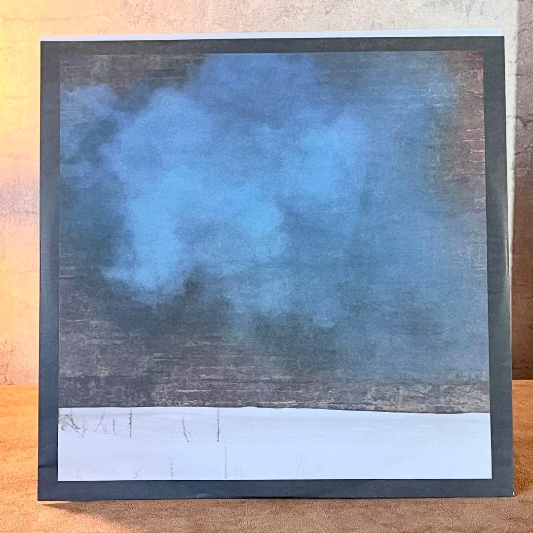 【USオリジナル】James Blake 『Overgrown』 レコード LP