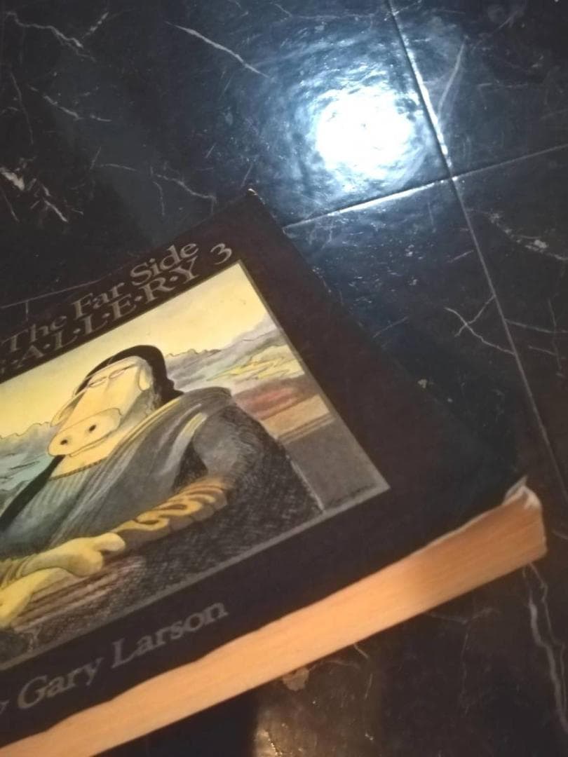 洋書 The Far Side Gallery 3 ゲイリーラーソン 90年台