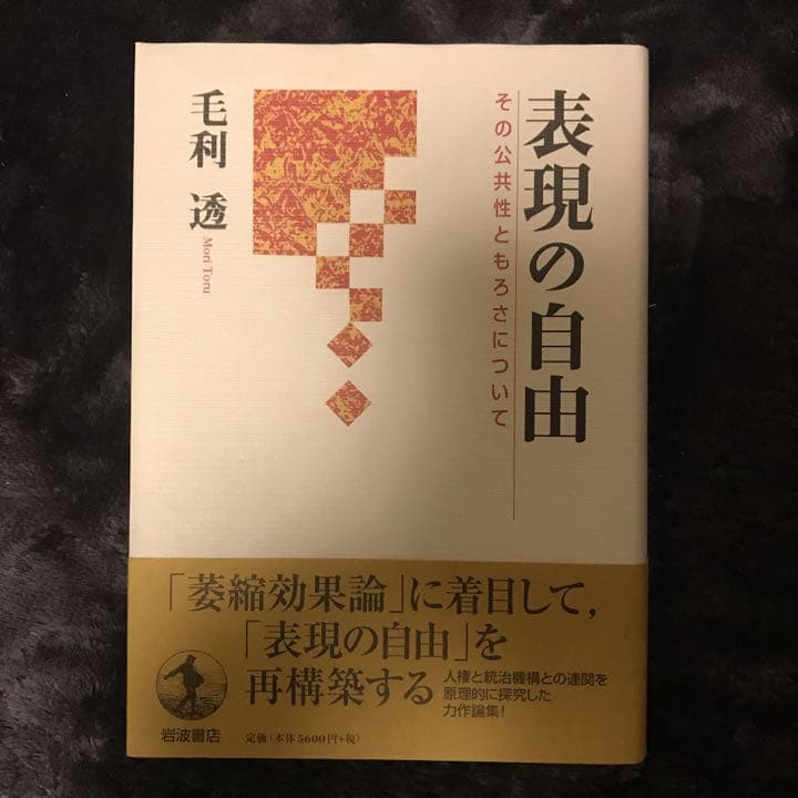 表現の自由 : その公共性ともろさについて　　憲法　日本国憲法