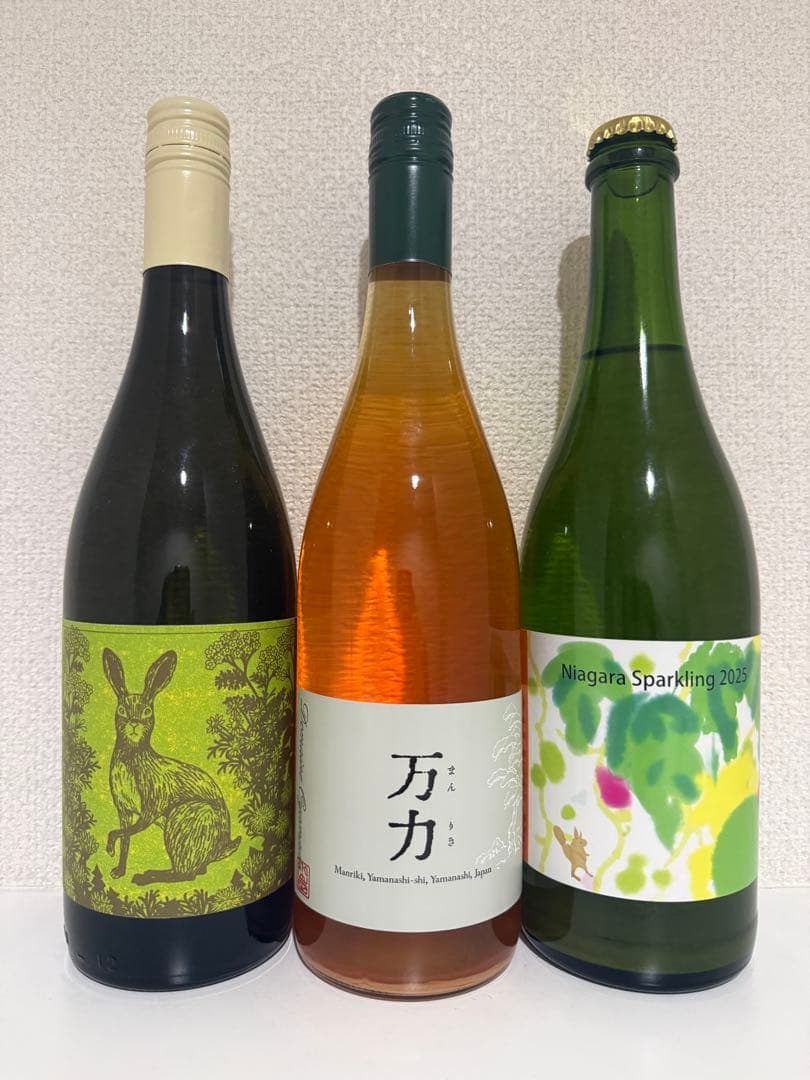 日本ワイン10本セット