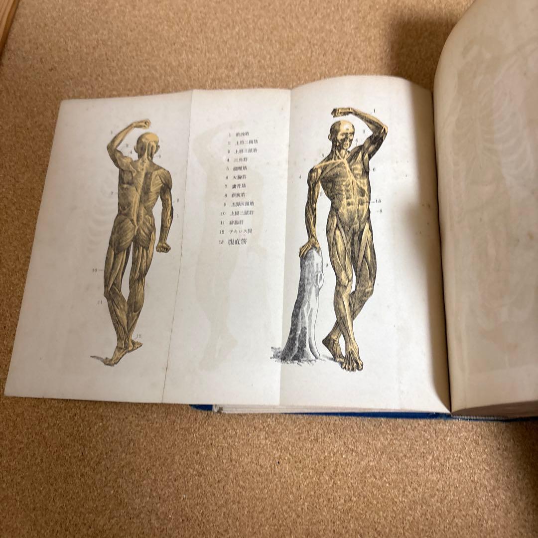 強い身体を造る法 川合春充(肥田春充）著　（大正５年）