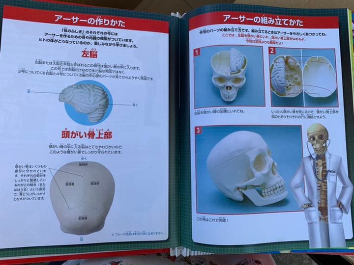 ディアゴスティーノ　体のふしぎ全巻