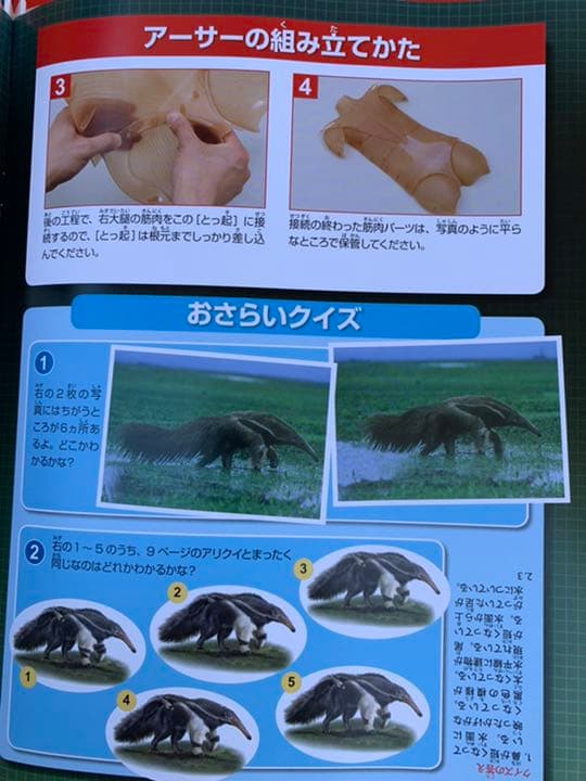 ディアゴスティーノ　体のふしぎ全巻