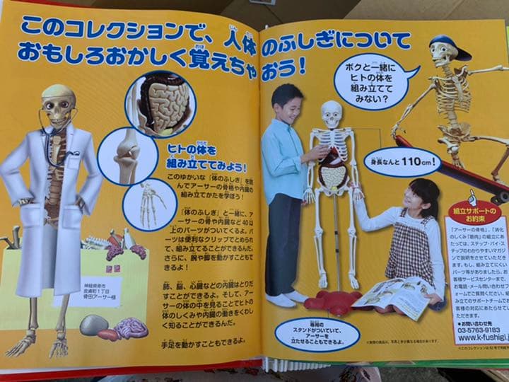 ディアゴスティーノ　体のふしぎ全巻