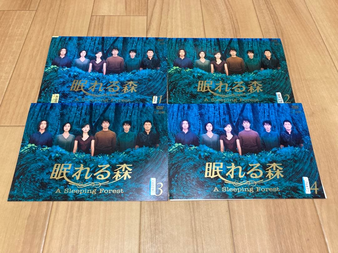 DVD 眠れる森 全4巻　中山美穂 木村拓哉 仲村トオル ユースケ・サンタマリア