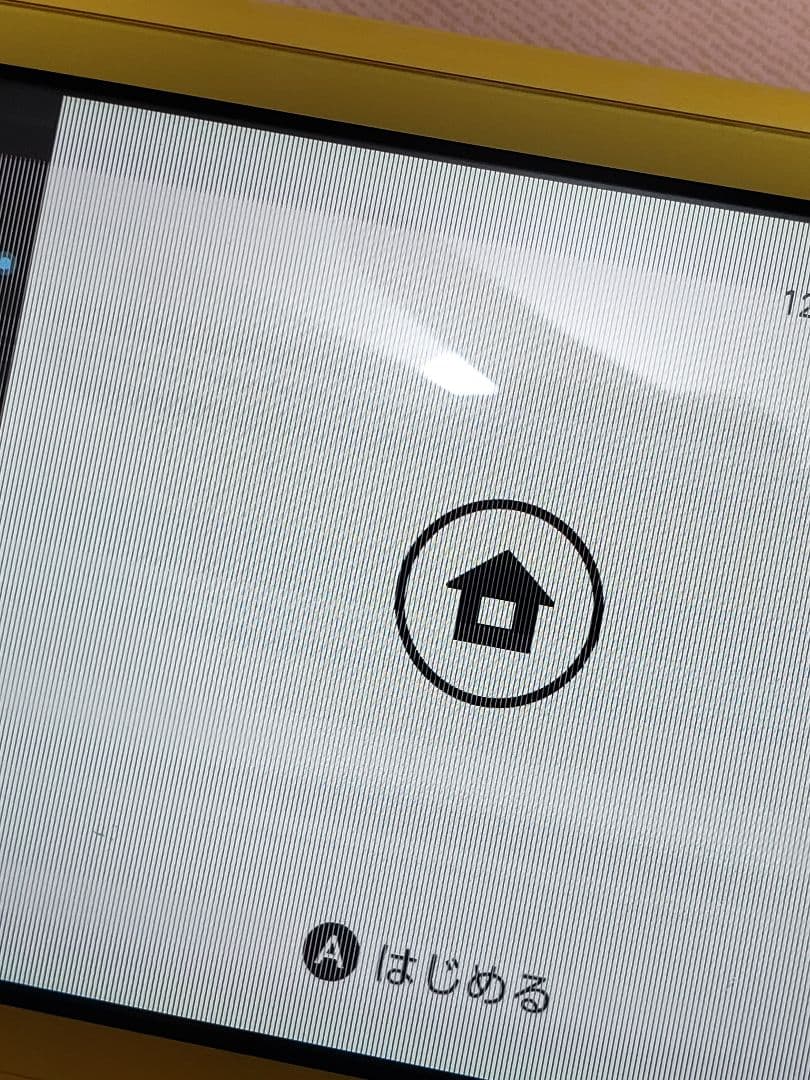 【ジャンク品】Nintendo Switch Lite イエロー 本体