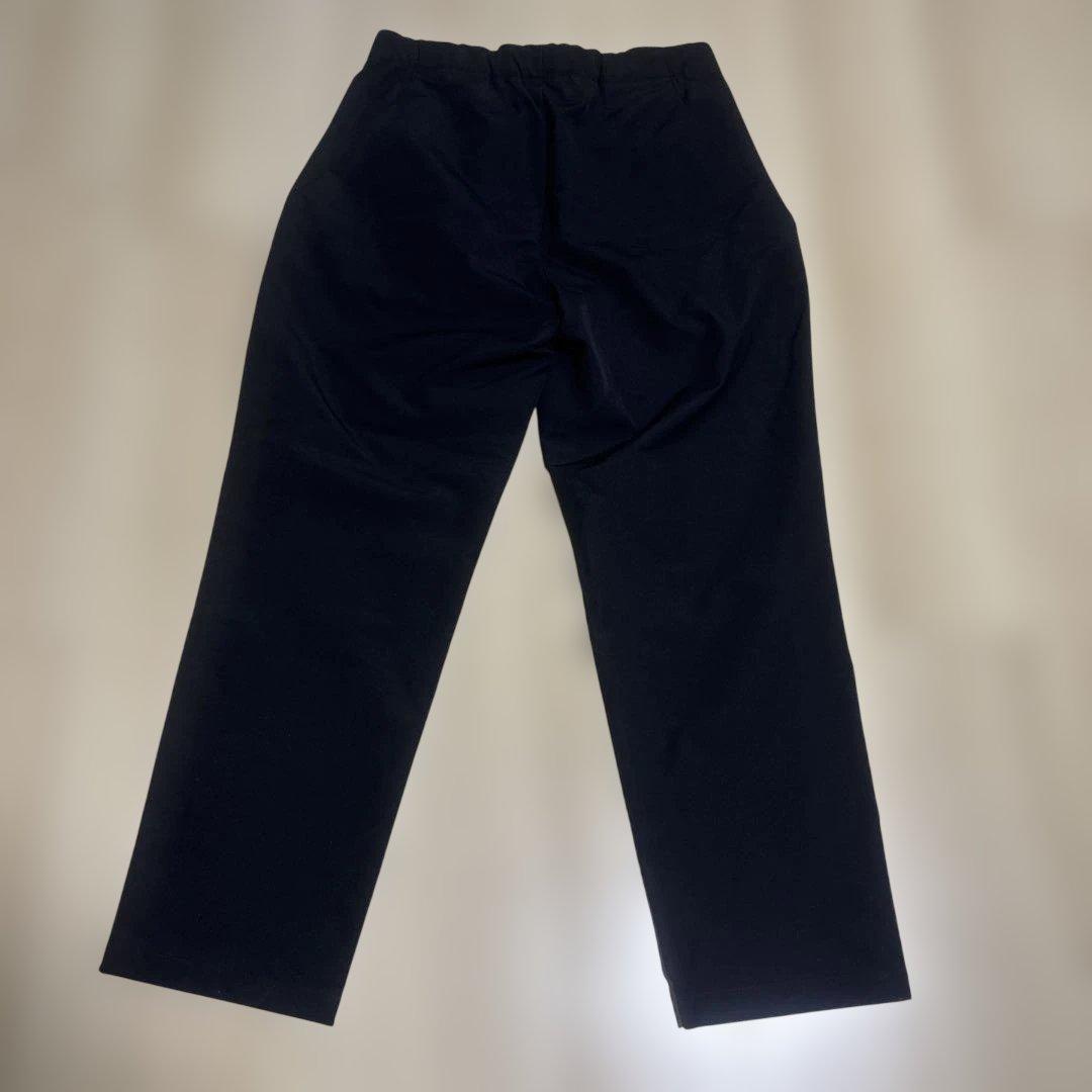 Goldwin Brushed Back One Tuck Pants サイズL