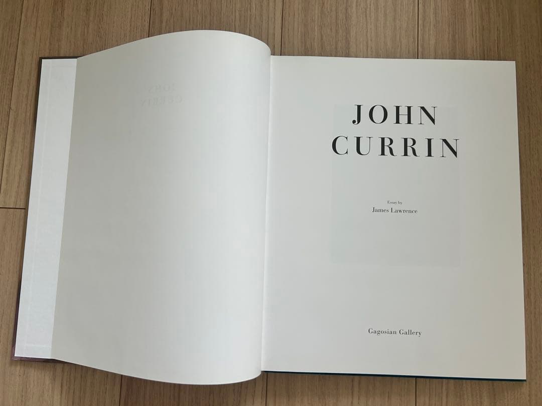 JOHN CURRIN Gagosian 作品集