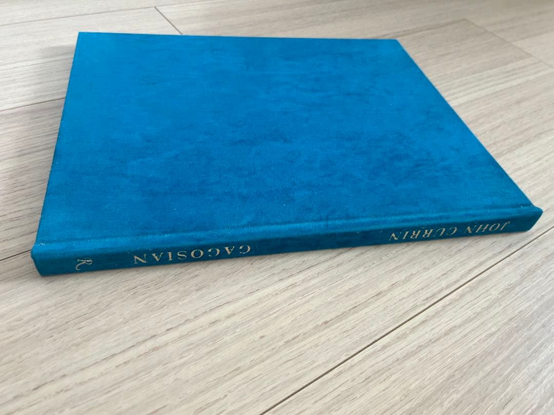 JOHN CURRIN Gagosian 作品集