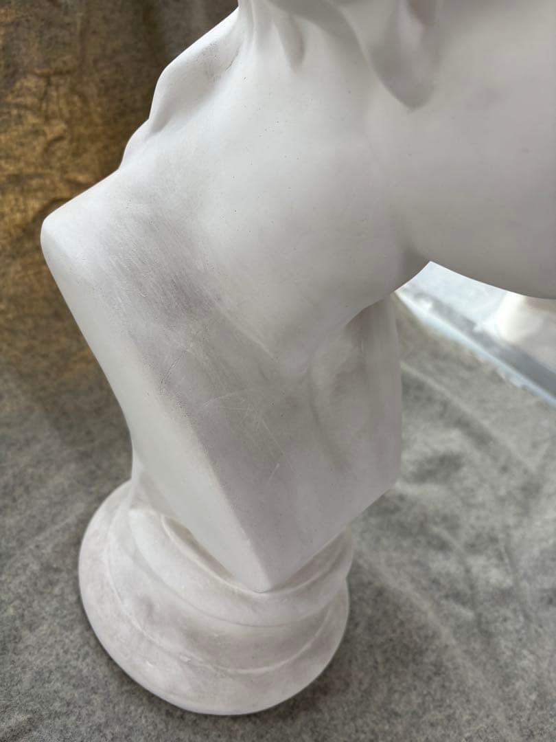石膏像 ミロのヴィーナス 胸像 インテリア 美術 彫刻 デッサン用