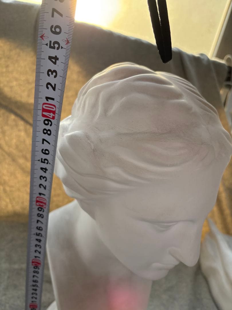 石膏像 ミロのヴィーナス 胸像 インテリア 美術 彫刻 デッサン用