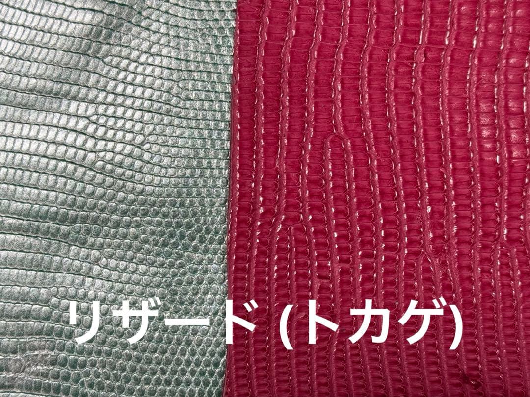 Sakanaページです!