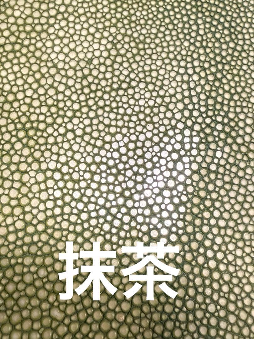 Sakanaページです!