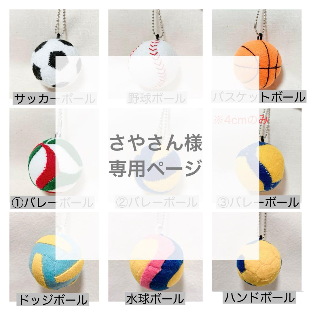 専用　バレーボール