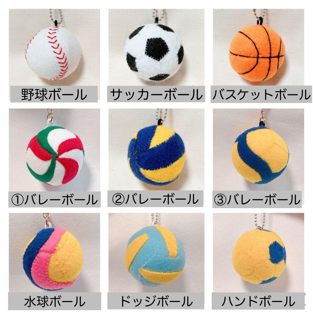 専用　バレーボール