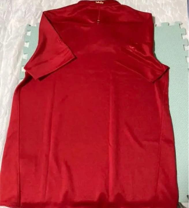 (未使用)(値引き)(NZツアー)ブリティッシュ　アイリッシュライオンズ2017