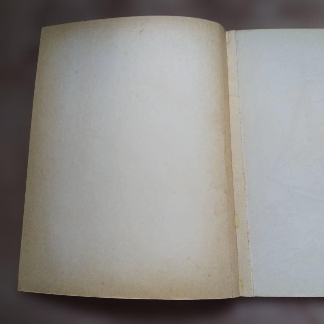 訳あり リチャード・スキャリー 水で描くアートブック 水ぬり絵 1990年代